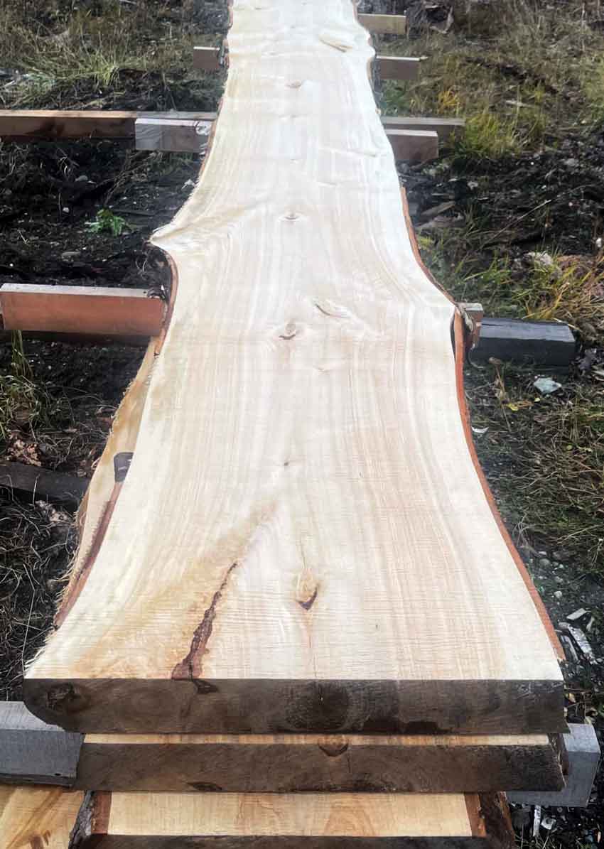 live-edge-wood-slabs-leading-edge-horsefly-british-columbia